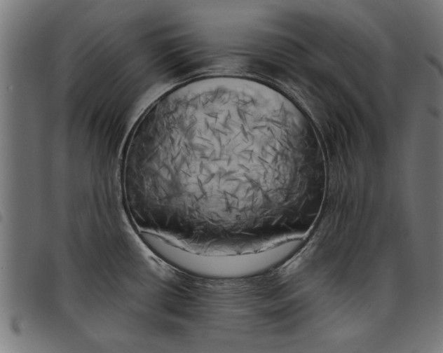 X0000097811434200803281048