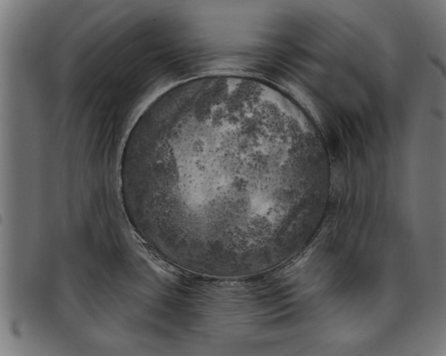 X0000097811435200803281048