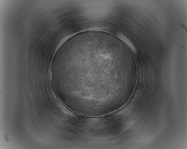 X0000097811436200803281048