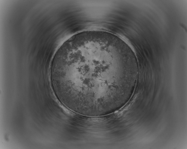 X0000097811437200803281048