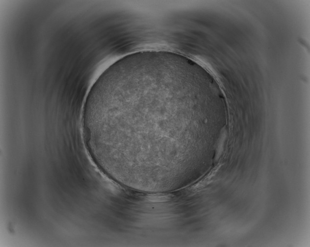 X0000097811440200803281048