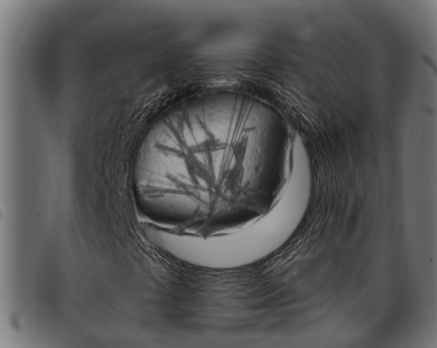 X0000097811441200803281047