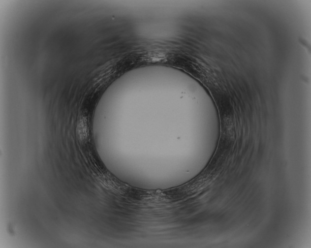 X0000097811442200803281047