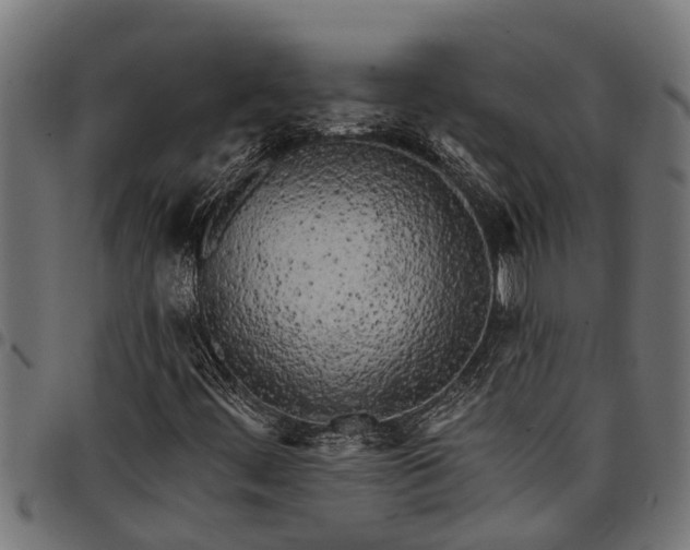 X0000097811444200803281047