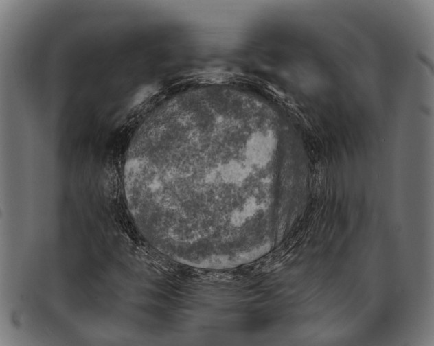 X0000097811446200803281047