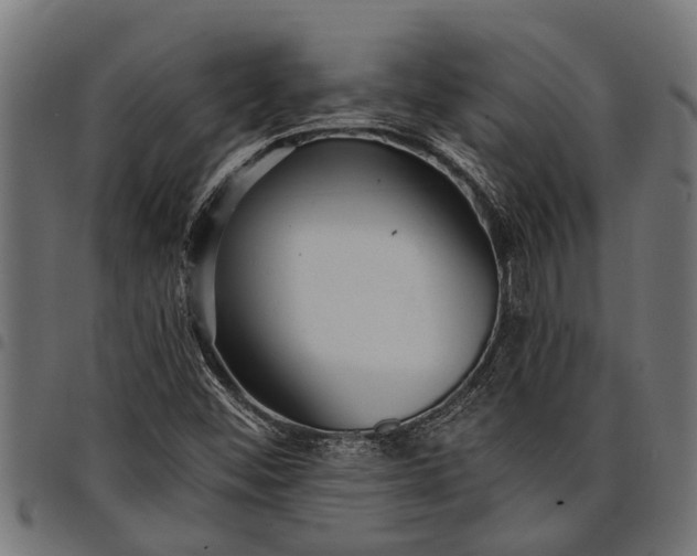 X0000097811452200803281047