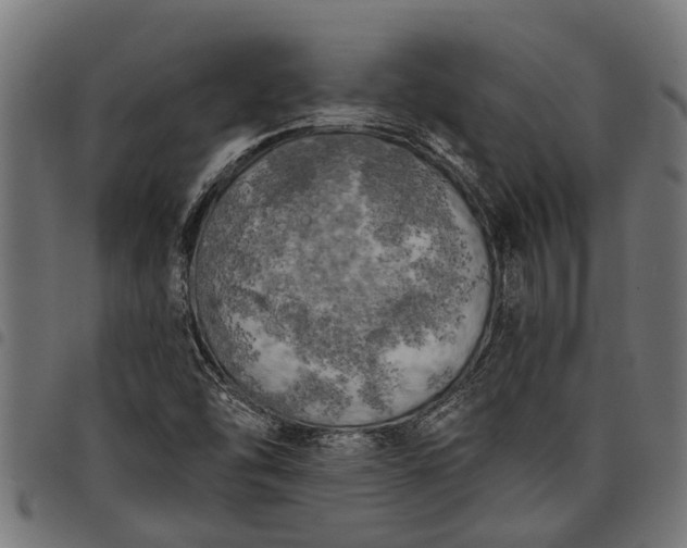 X0000097811454200803281047