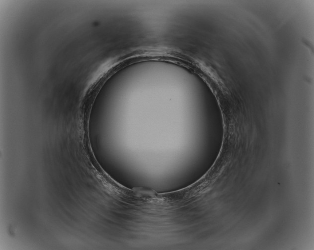 X0000097811456200803281047