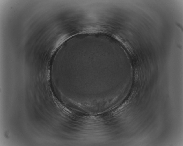 X0000097811459200803281047