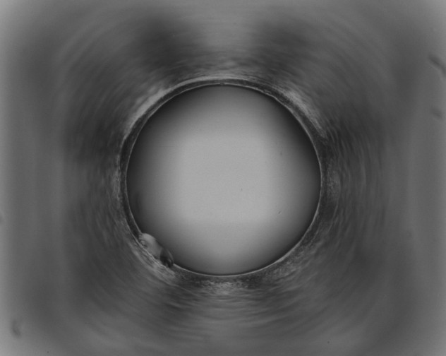 X0000097811460200803281047