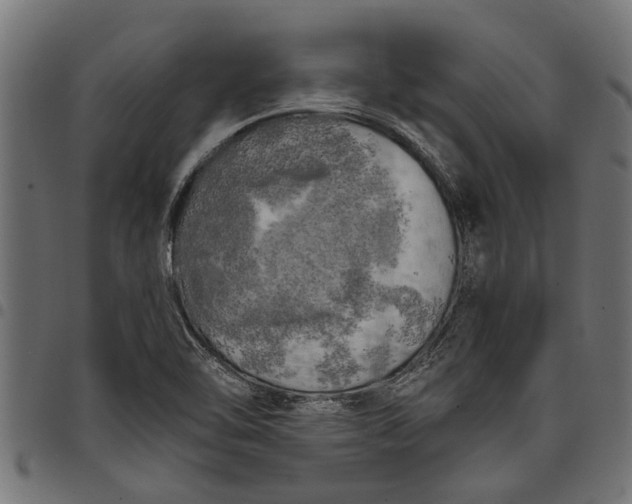 X0000097811462200803281047