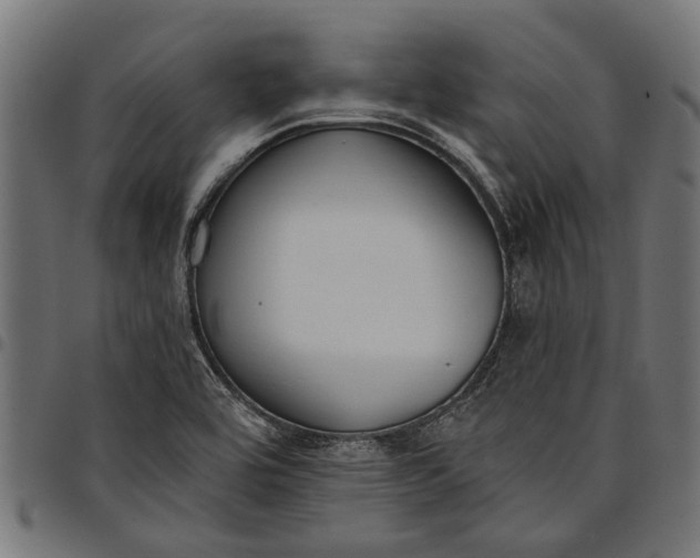 X0000097811464200803281047