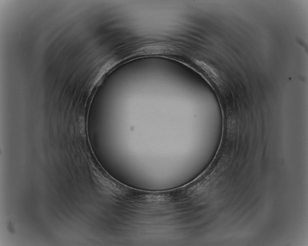 X0000097811465200803281047