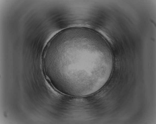 X0000097811468200803281047