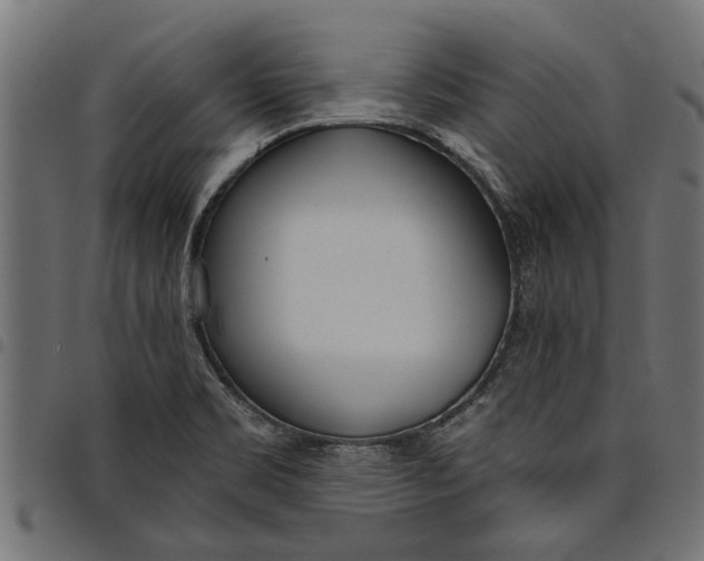 X0000097811469200803281047