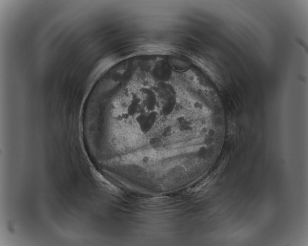 X0000097811471200803281047