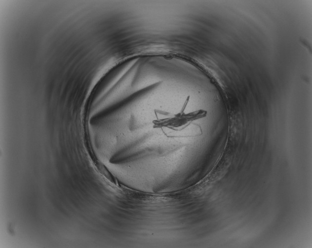 X0000097811475200803281047