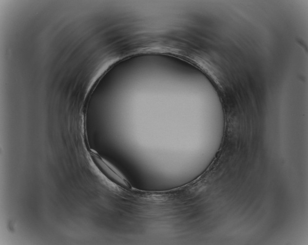 X0000097811476200803281047