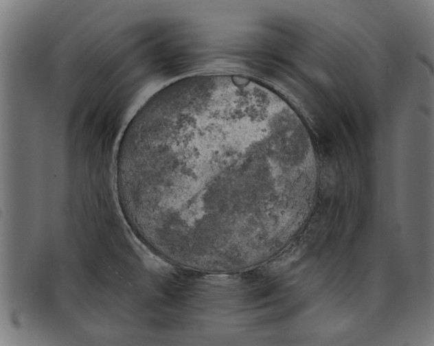 X0000097811478200803281046