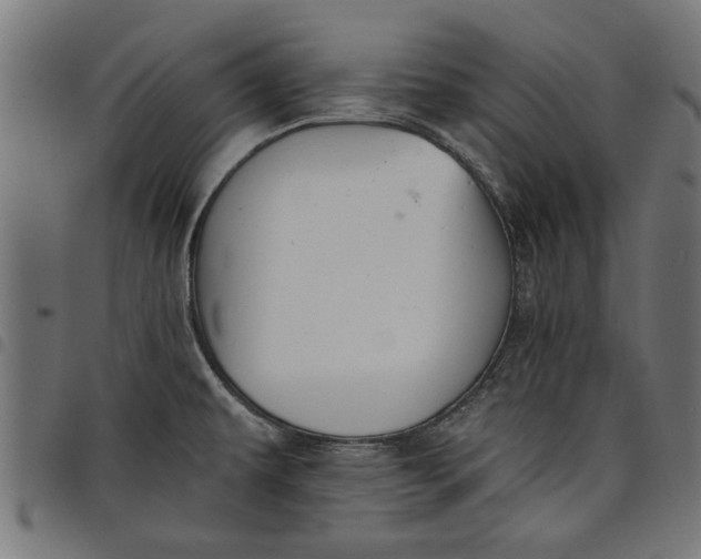 X0000097811479200803281046