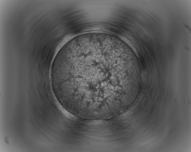 X0000097811482200803281046