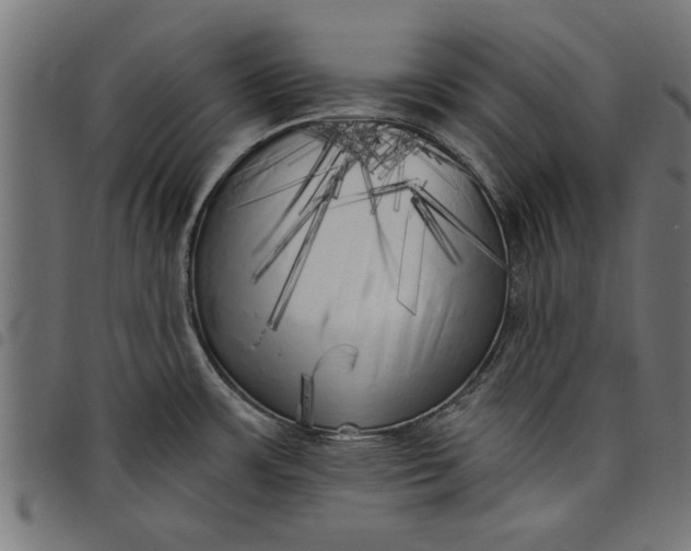 X0000097811483200803281046