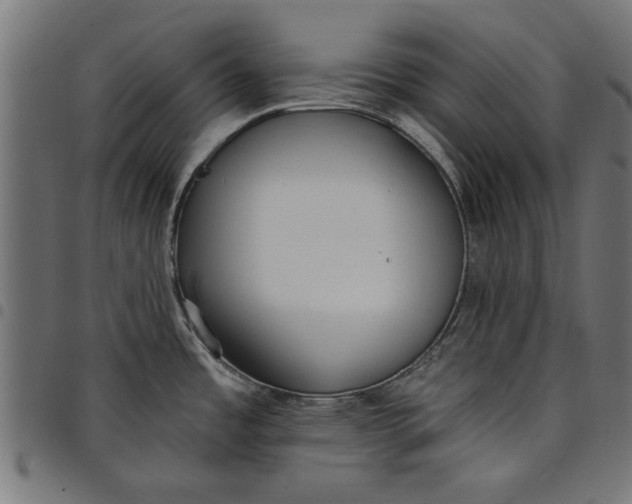 X0000097811485200803281046