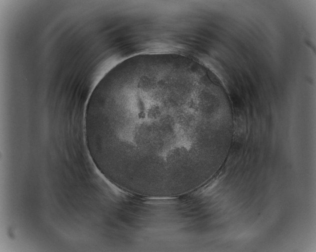 X0000097811487200803281046