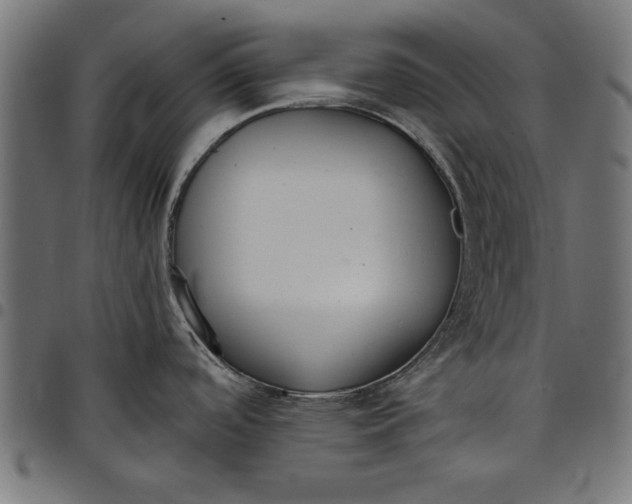 X0000097811488200803281046