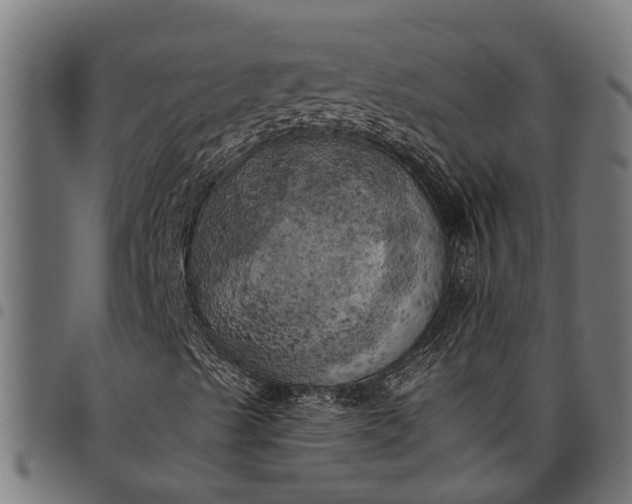 X0000097811489200803281046