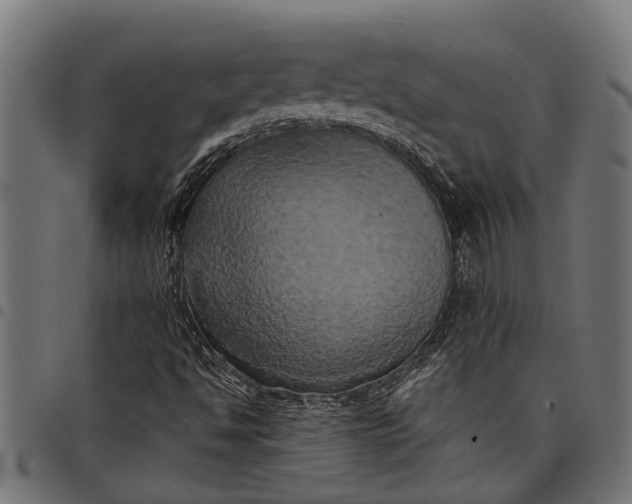 X0000097811494200803281046