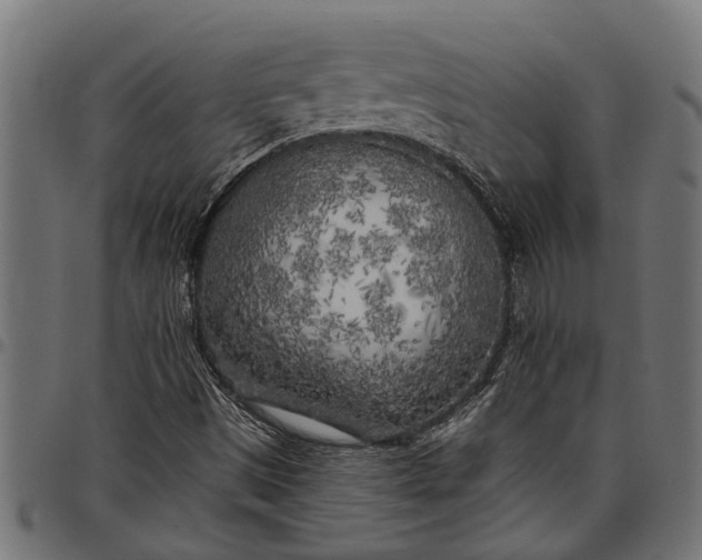 X0000097811497200803281046