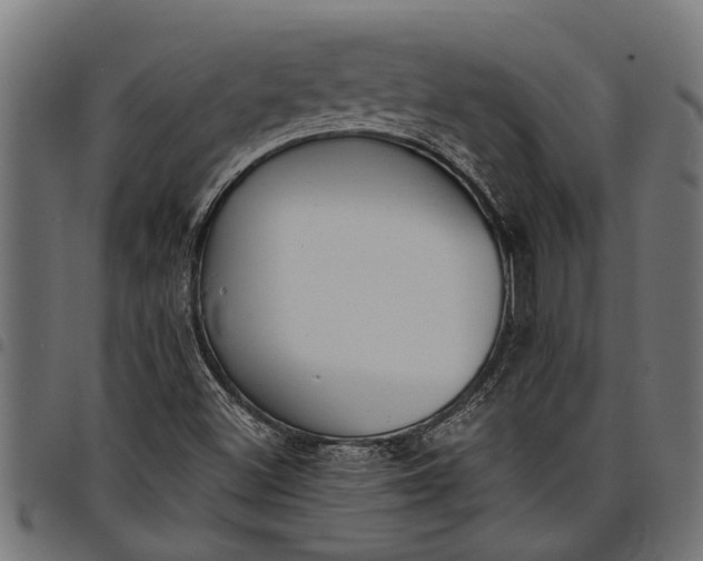 X0000097811500200803281046