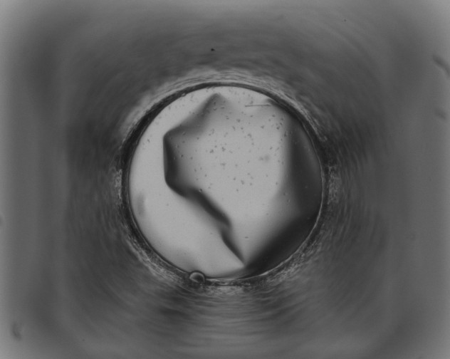 X0000097811503200803281046