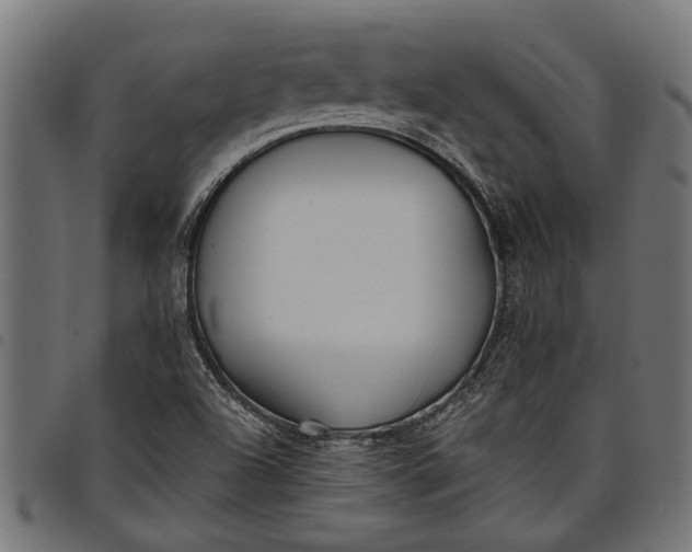 X0000097811504200803281046