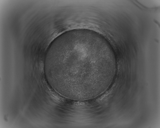 X0000097811505200803281046