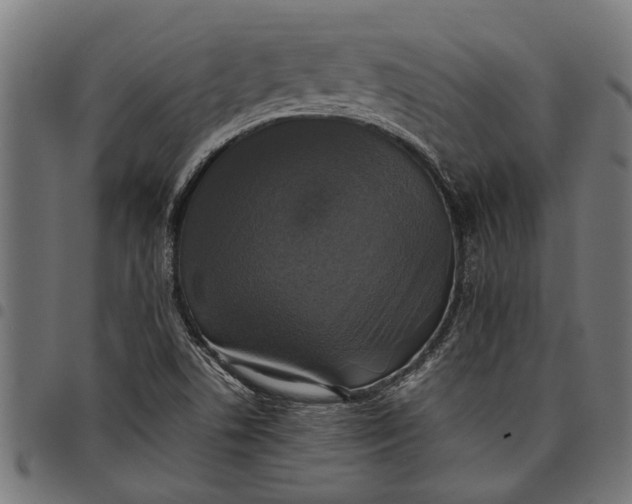 X0000097811506200803281046