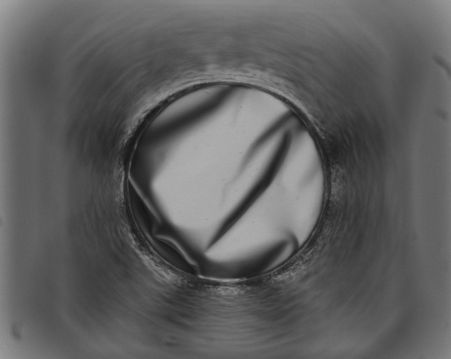 X0000097811507200803281046