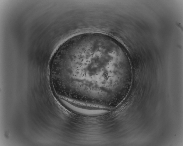 X0000097811508200803281046