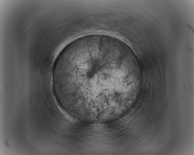 X0000097811511200803281046