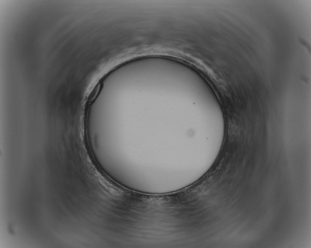 X0000097811512200803281046