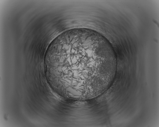 X0000097811513200803281046