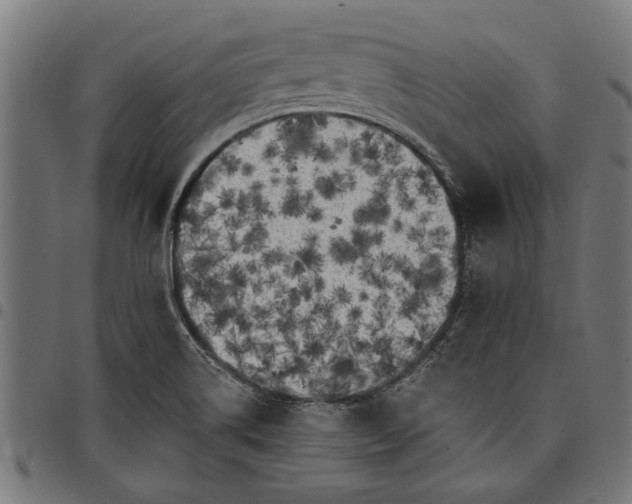 X0000097811514200803281046