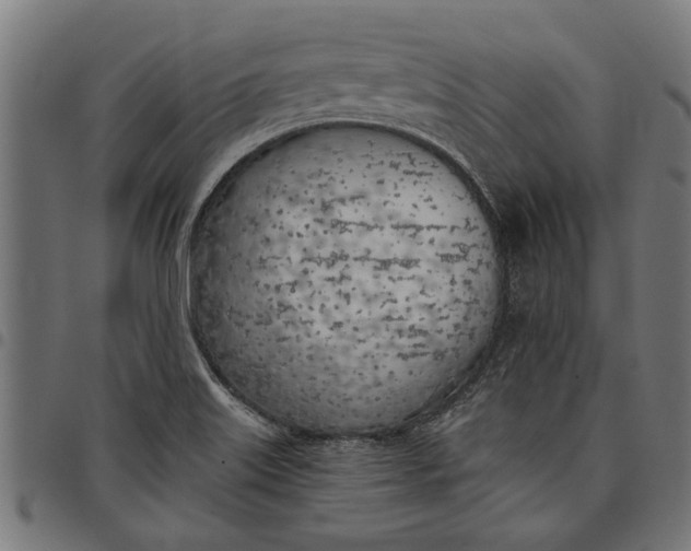 X0000097811515200803281046