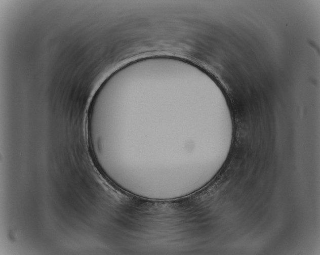 X0000097811516200803281046