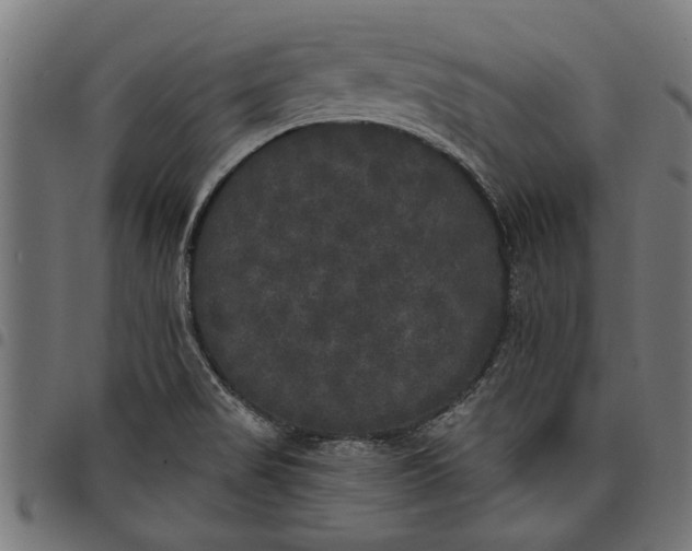 X0000097811517200803281046