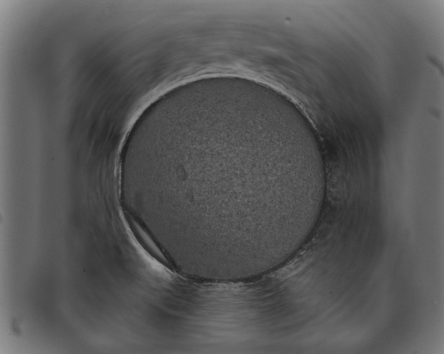 X0000097811519200803281046