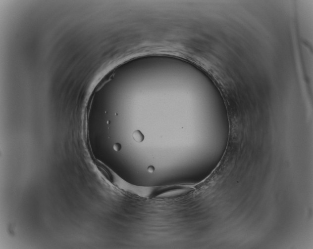 X0000097811520200803281046