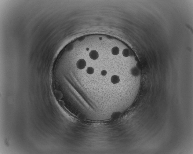 X0000097811523200803281046