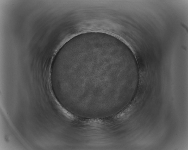 X0000097811525200803281046